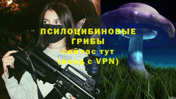гашик Михайловка
