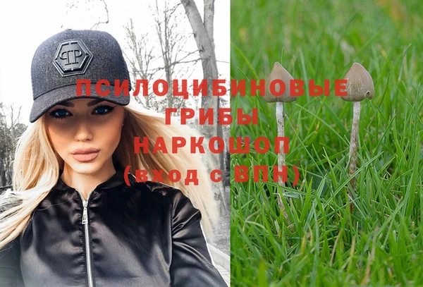хмурый Михайлов