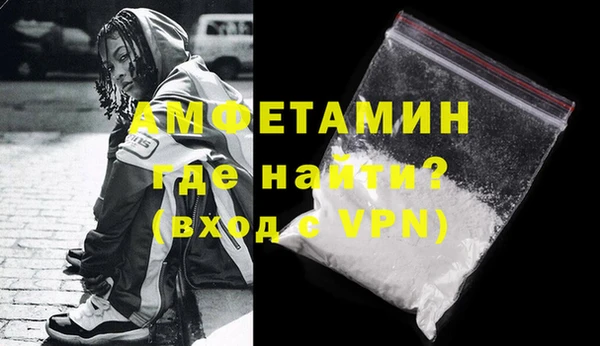 гашик Янаул