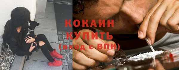 гашик Михайловка