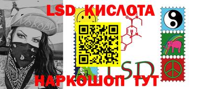 бошки Кингисепп