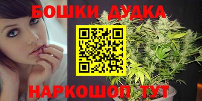 бошки Кингисепп