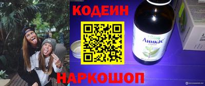 бошки Кингисепп