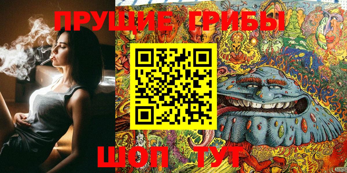 Псилоцибиновые грибы Cubensis Элиста